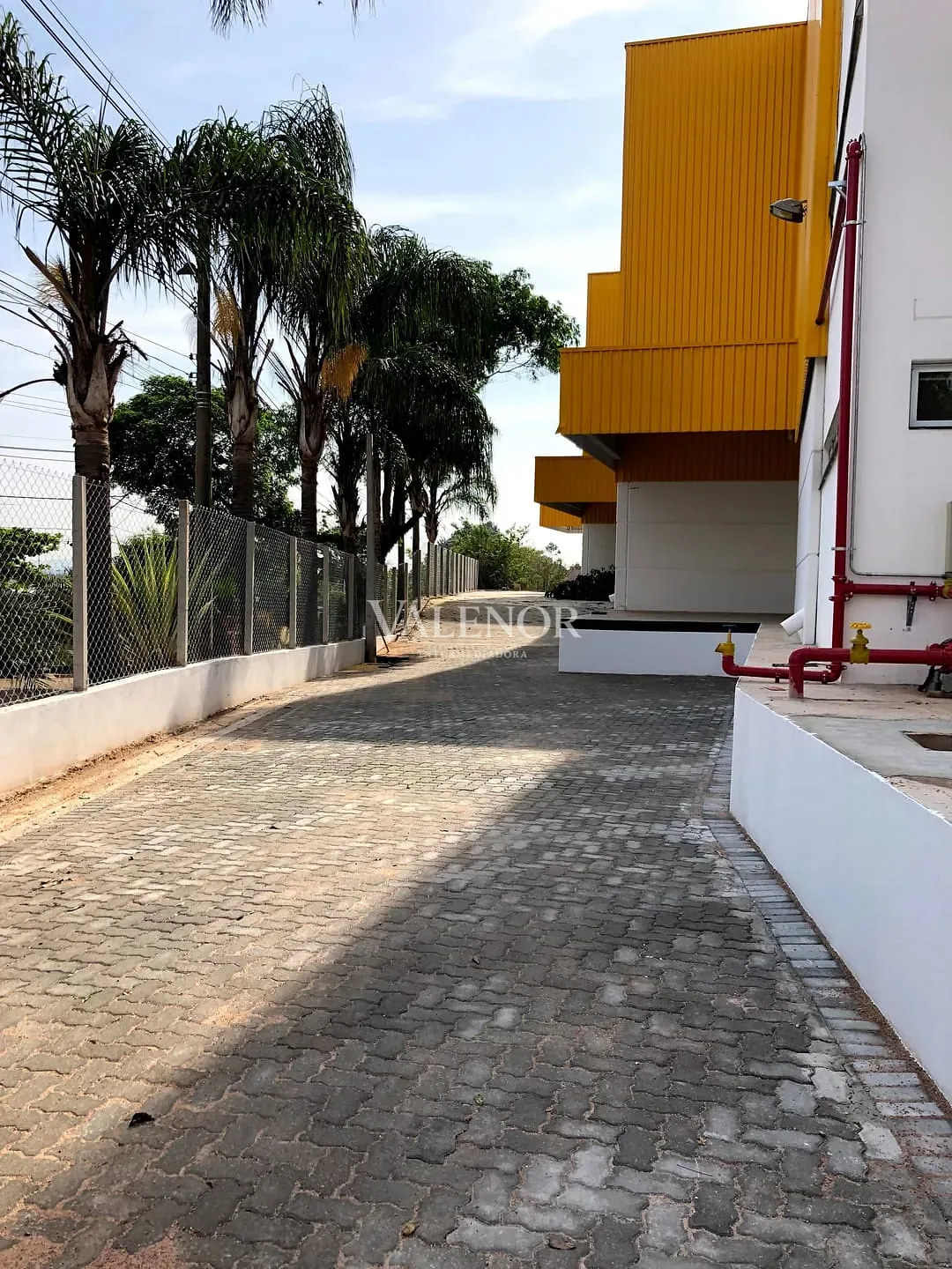 Depósito-Galpão, 5000 m² - Foto 4