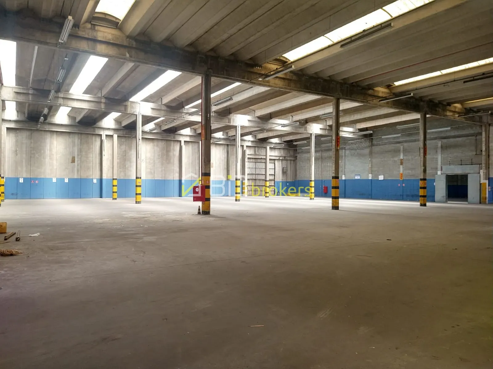 Depósito-Galpão, 4000 m² - Foto 3
