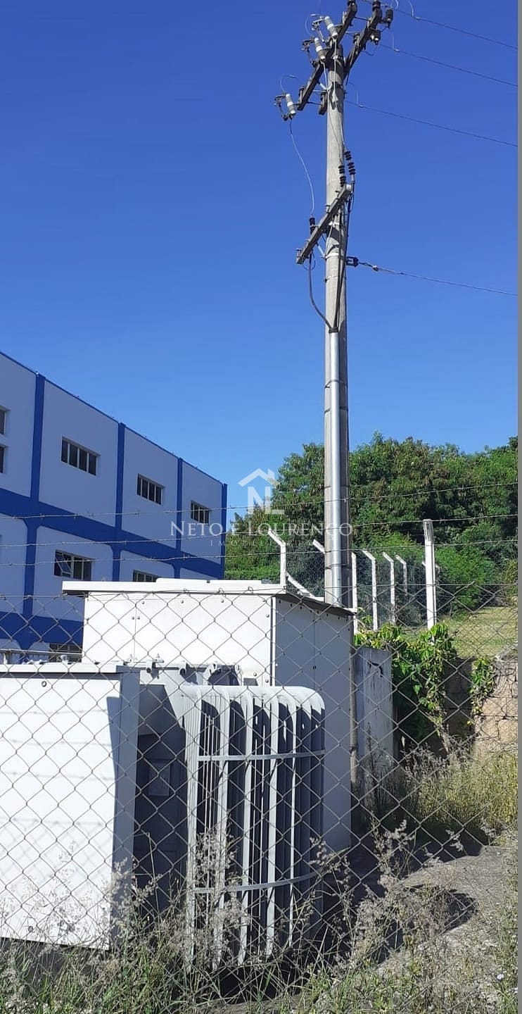 Depósito-Galpão-Armazém para alugar, 12000m² - Foto 6
