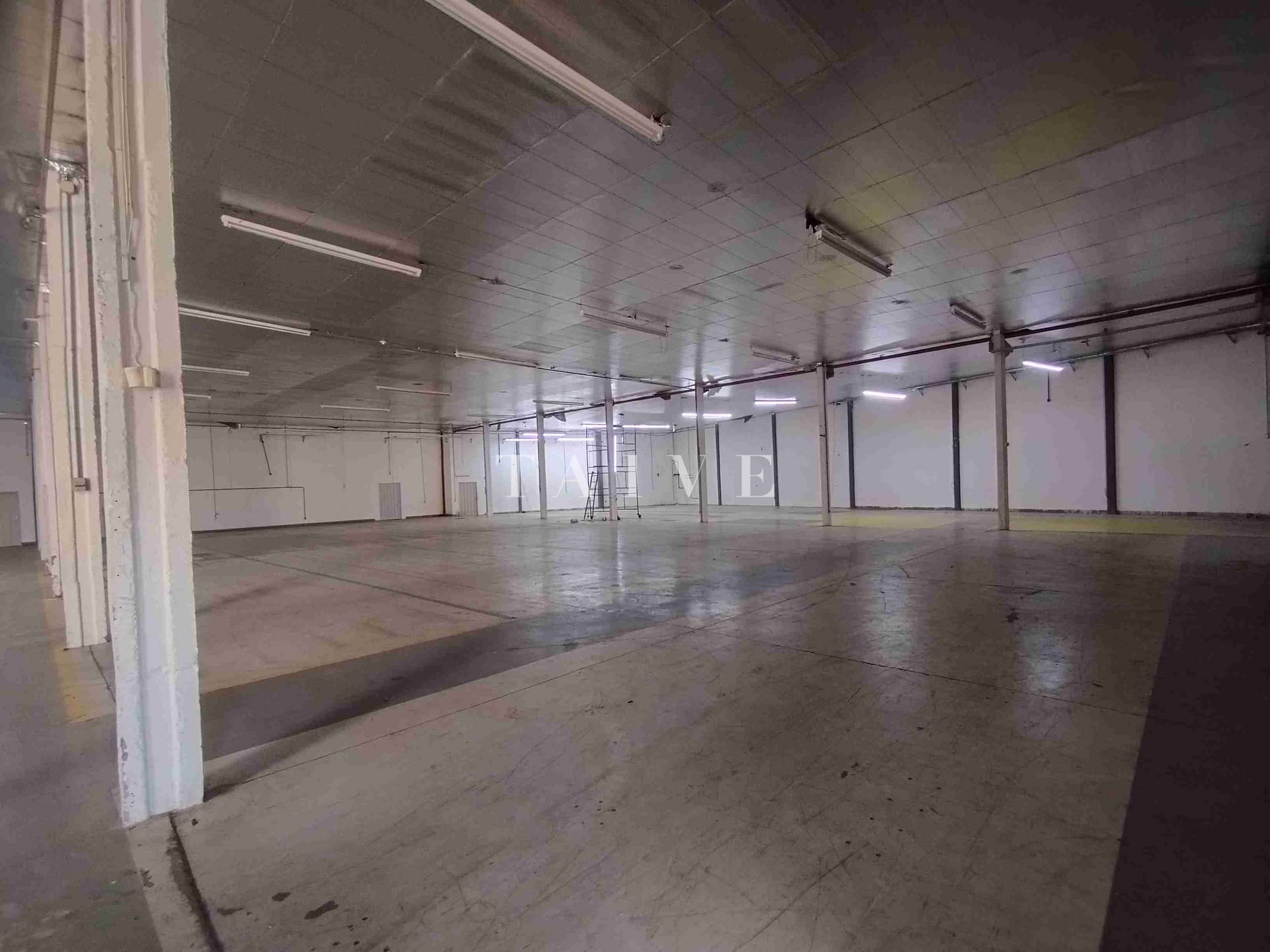 Depósito-Galpão-Armazém para alugar, 2200m² - Foto 13