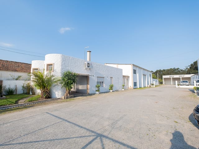Galpão / Barracão com 6600m², à venda, no bairro Três Vendas em Pelotas