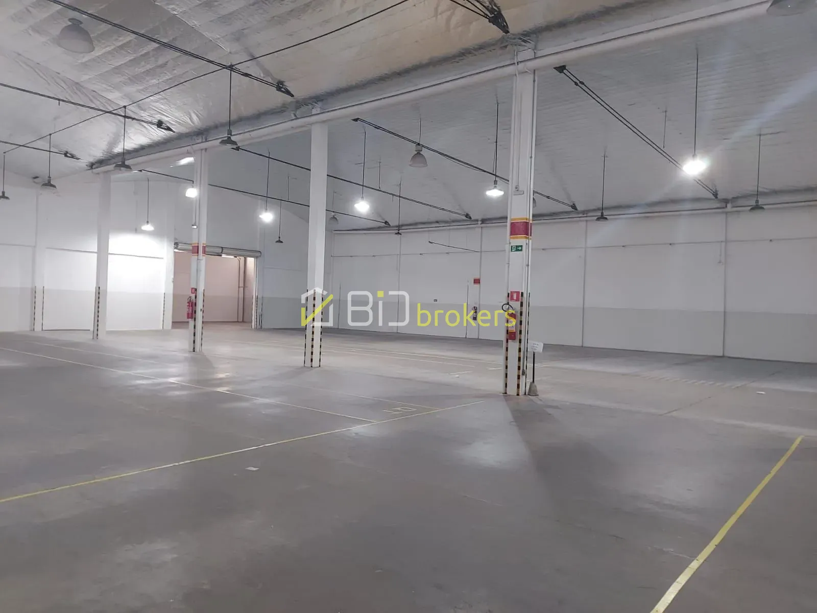 Depósito-Galpão, 2324 m² - Foto 6
