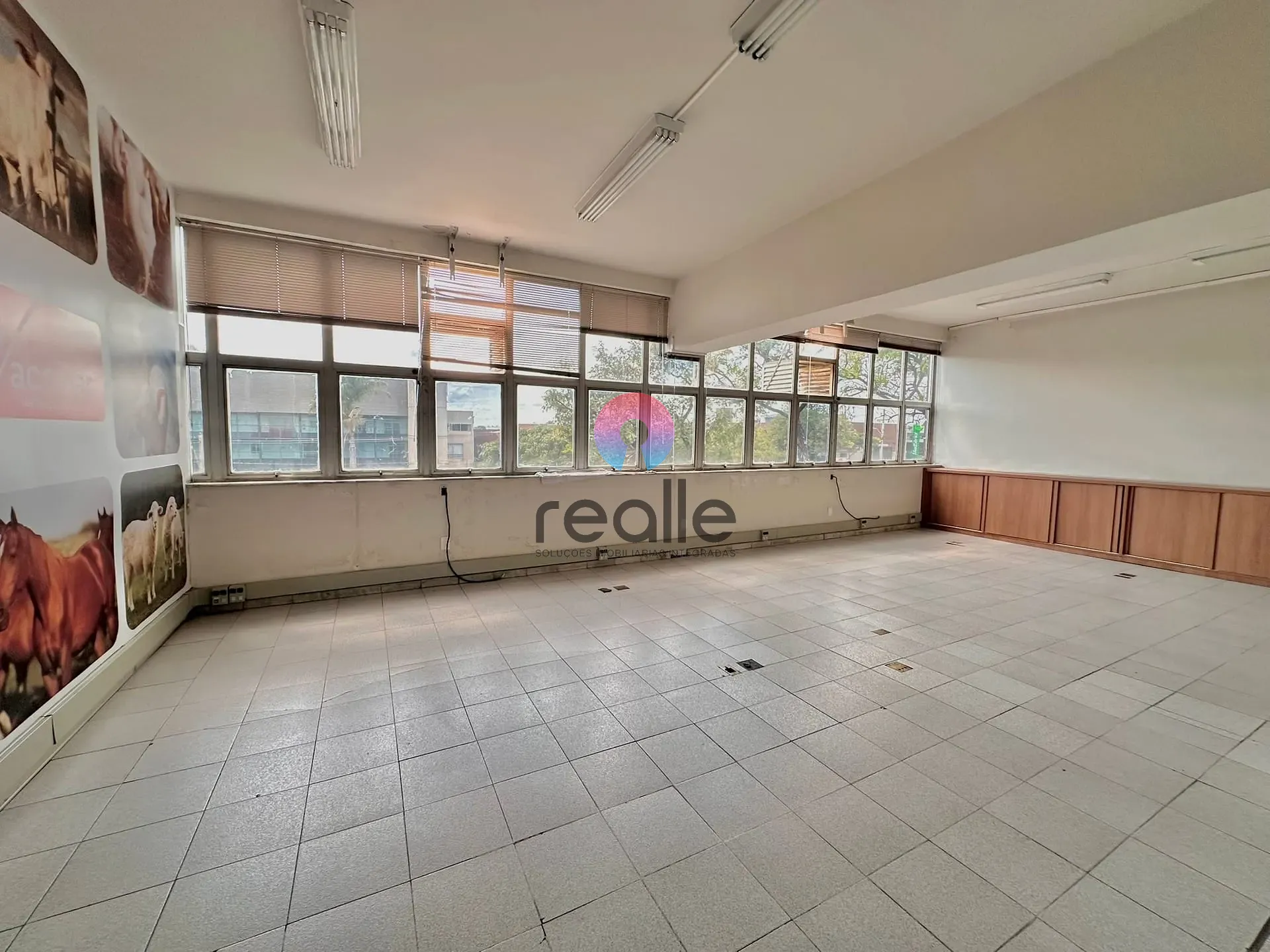 Depósito-Galpão, 4780 m² - Foto 10