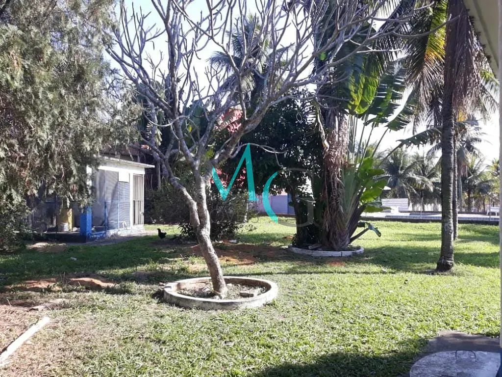 Depósito-Galpão, 2000 m² - Foto 10