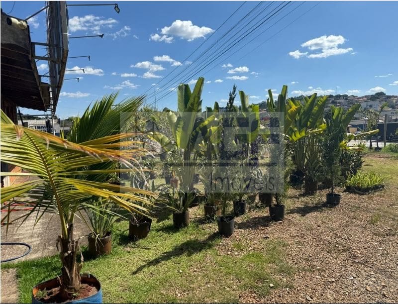 Depósito-Galpão, 250 m² - Foto 11