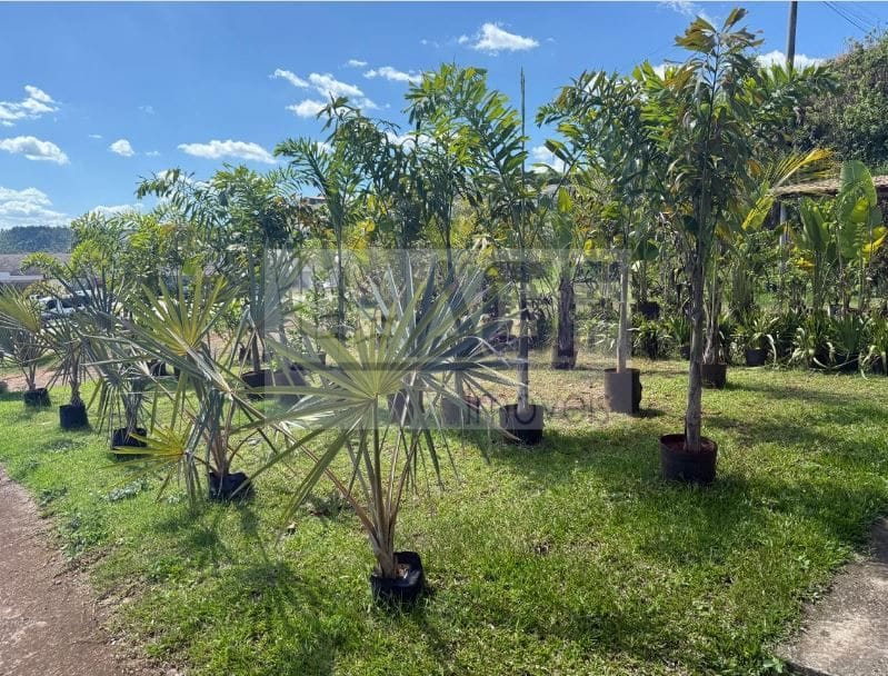 Depósito-Galpão, 250 m² - Foto 9