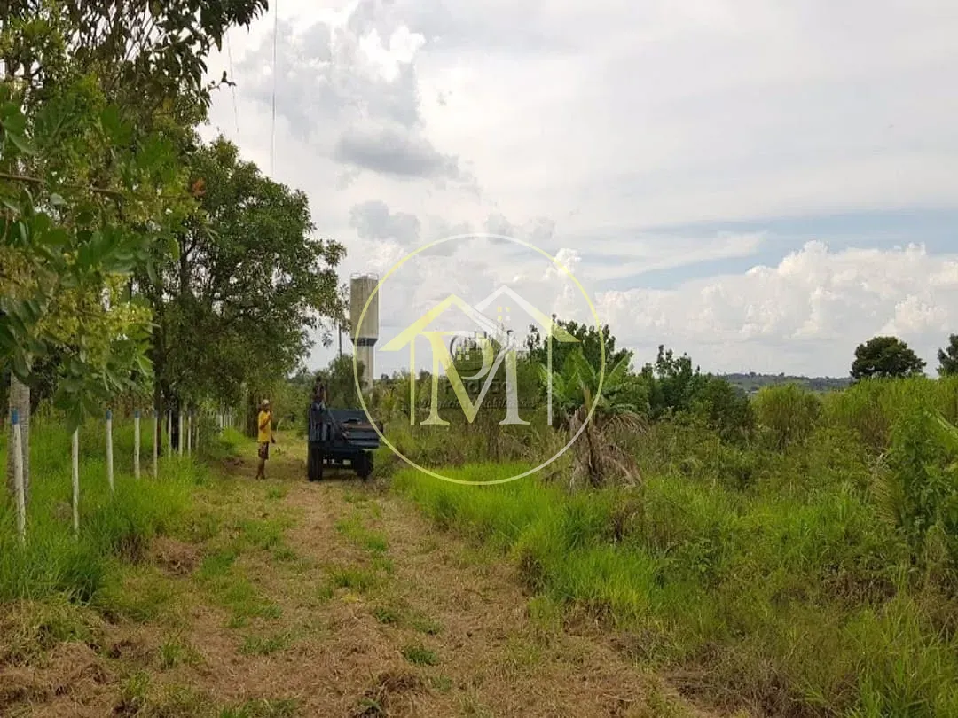 Depósito-Galpão, 25000 m² - Foto 24