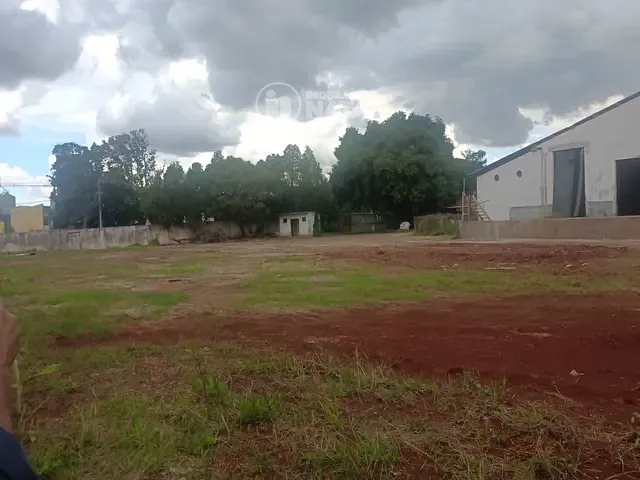Galpão / Barracão com 5000m², à venda, no bairro Ibiporã em Ibiporã