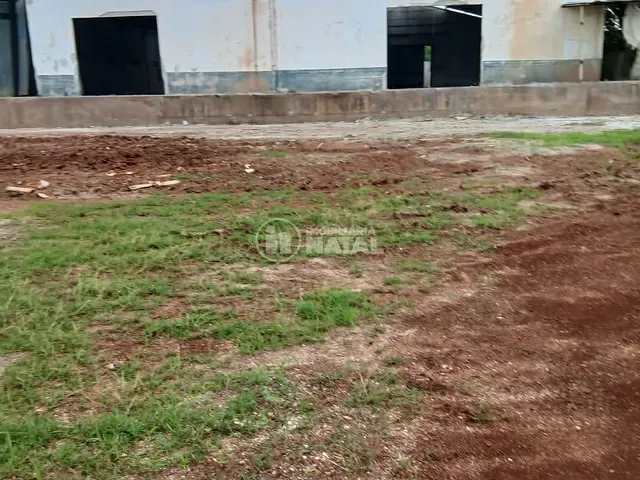 Galpão / Barracão com 5000m², à venda, no bairro Ibiporã em Ibiporã