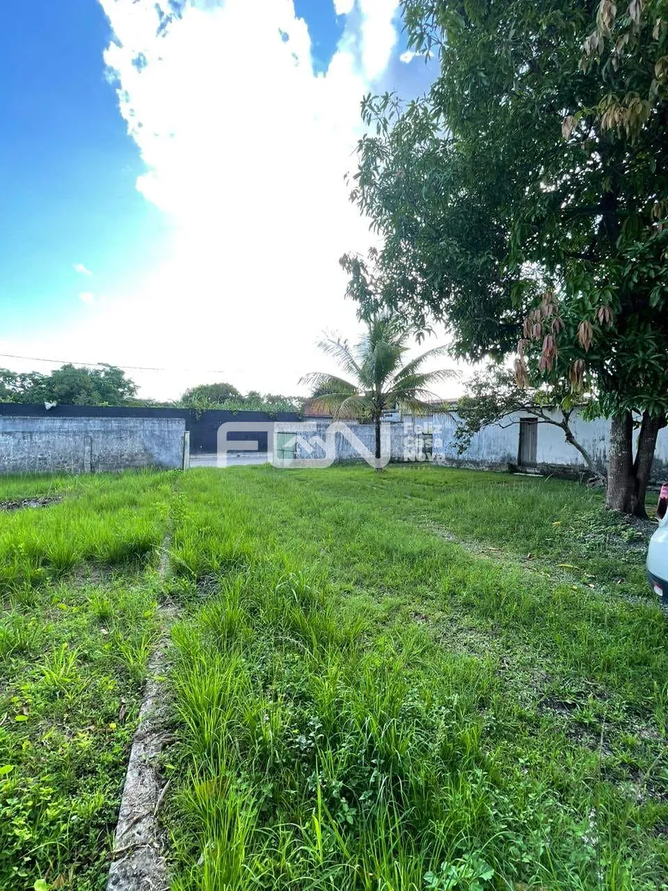 Depósito-Galpão, 449 m² - Foto 6
