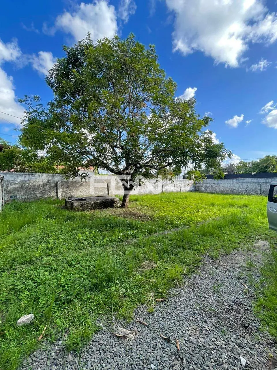 Depósito-Galpão, 449 m² - Foto 1