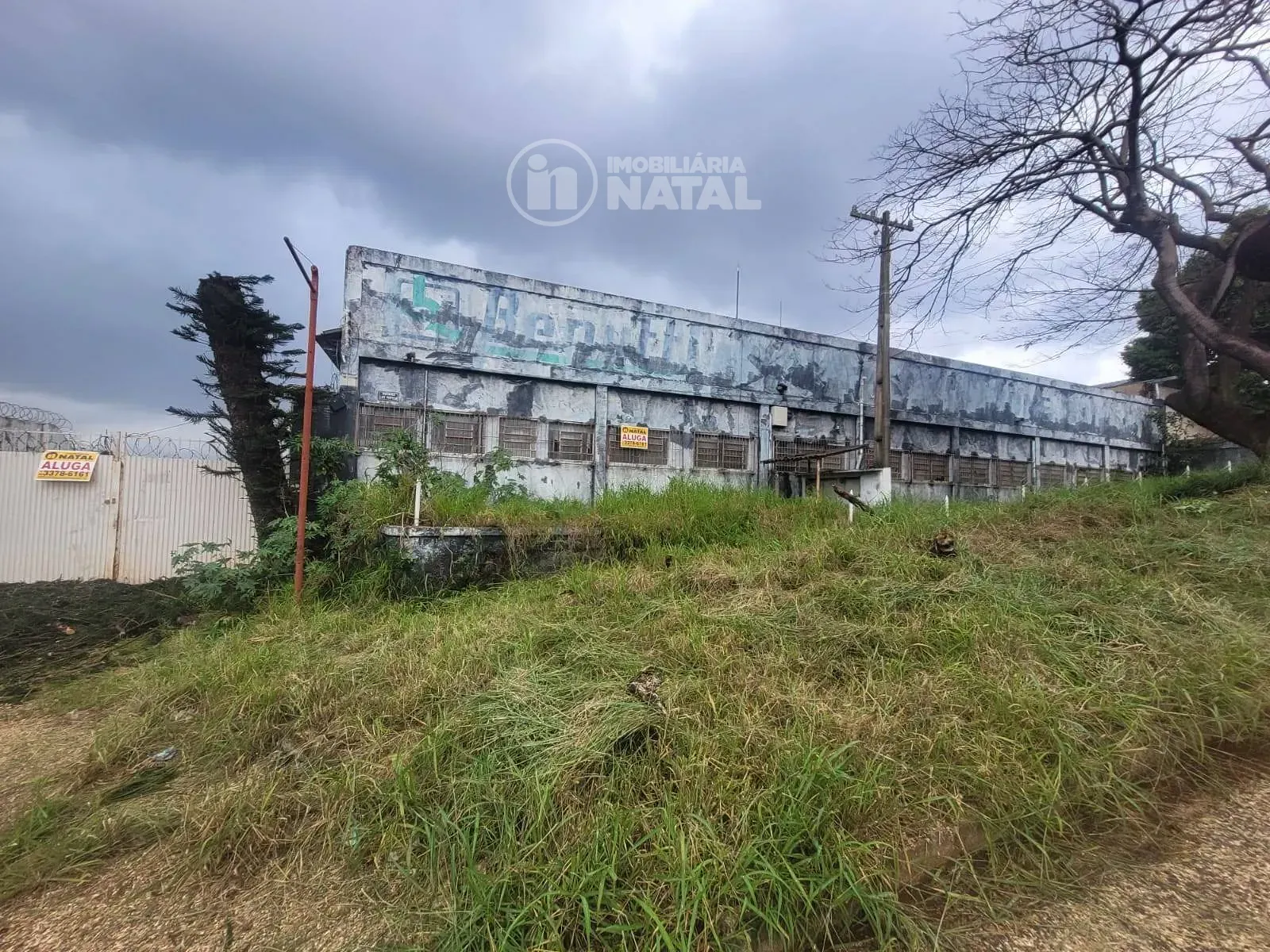 Depósito-Galpão, 3000 m² - Foto 1