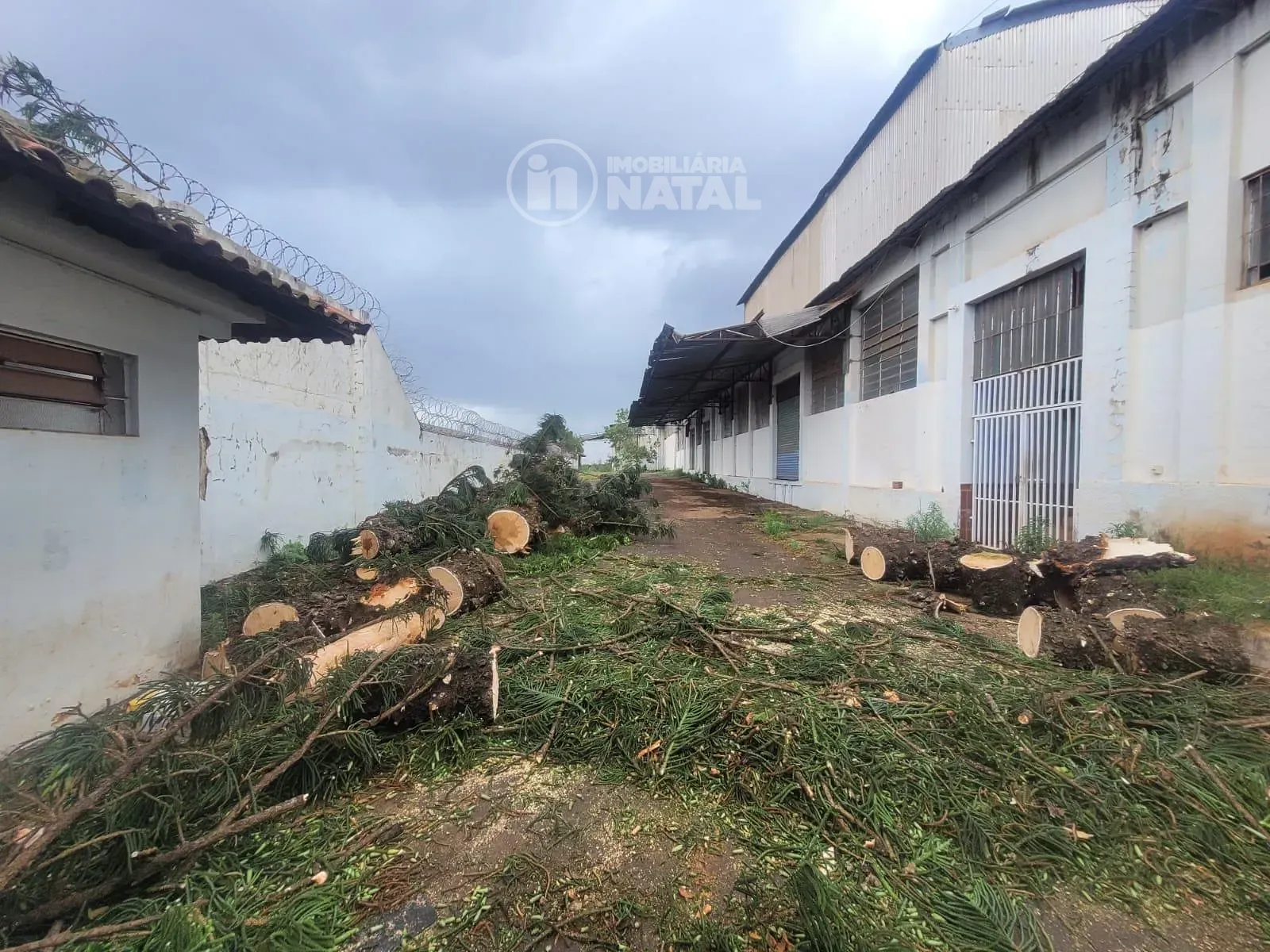Depósito-Galpão, 3000 m² - Foto 2