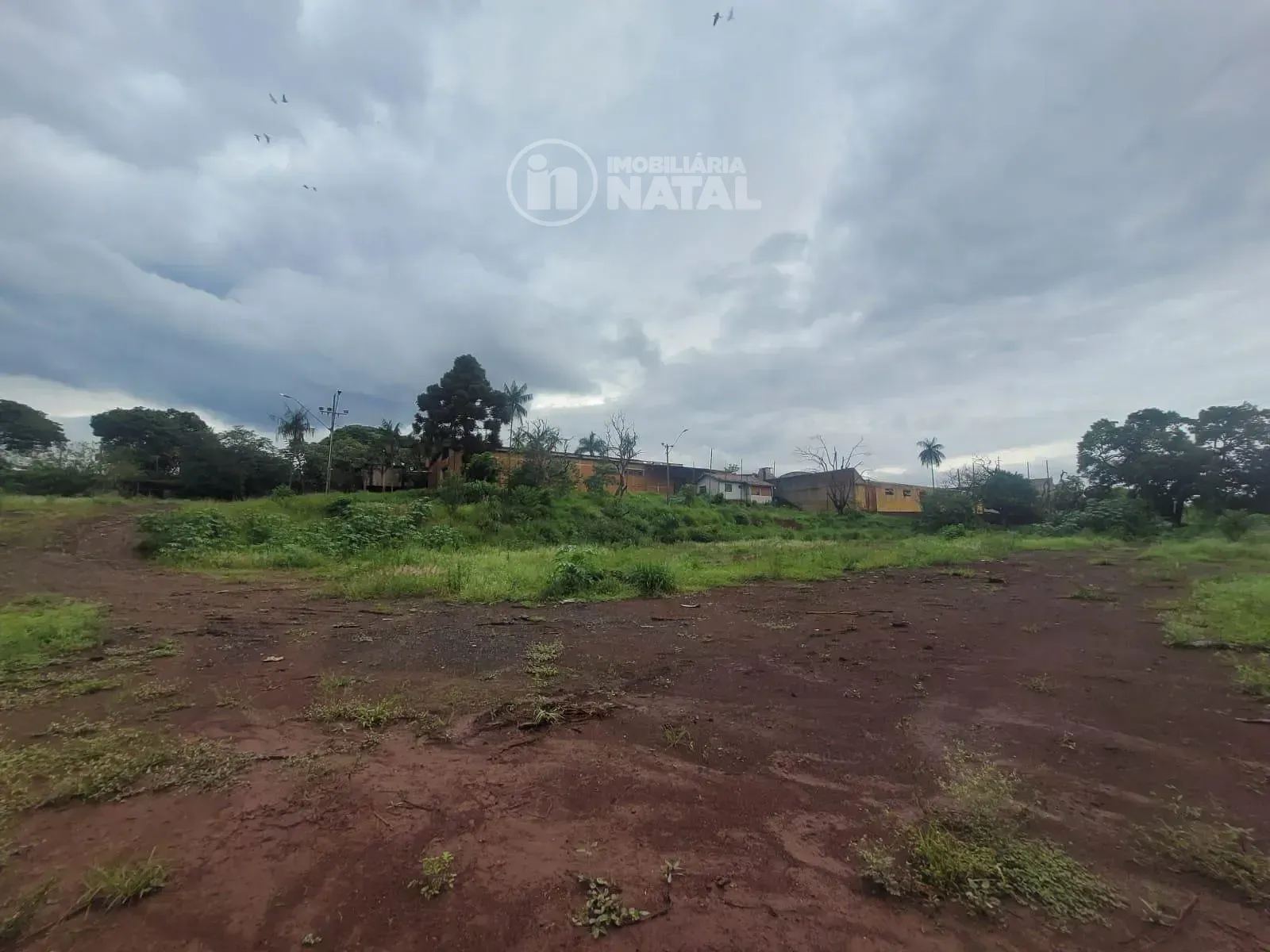 Depósito-Galpão, 3000 m² - Foto 12