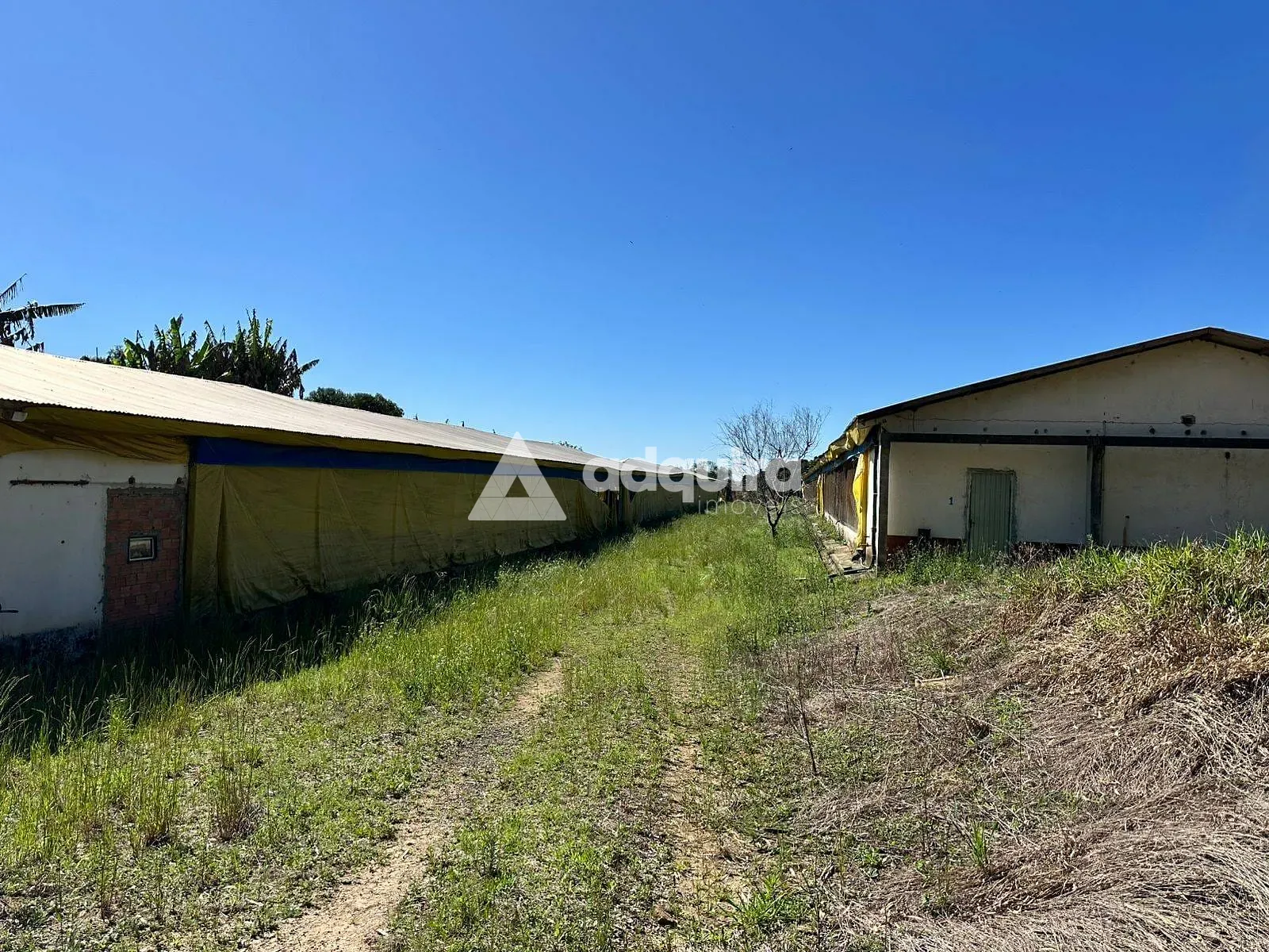 Depósito-Galpão, 2400 m² - Foto 1