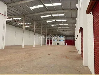 Depósito-Galpão, 5000 m² - Foto 6