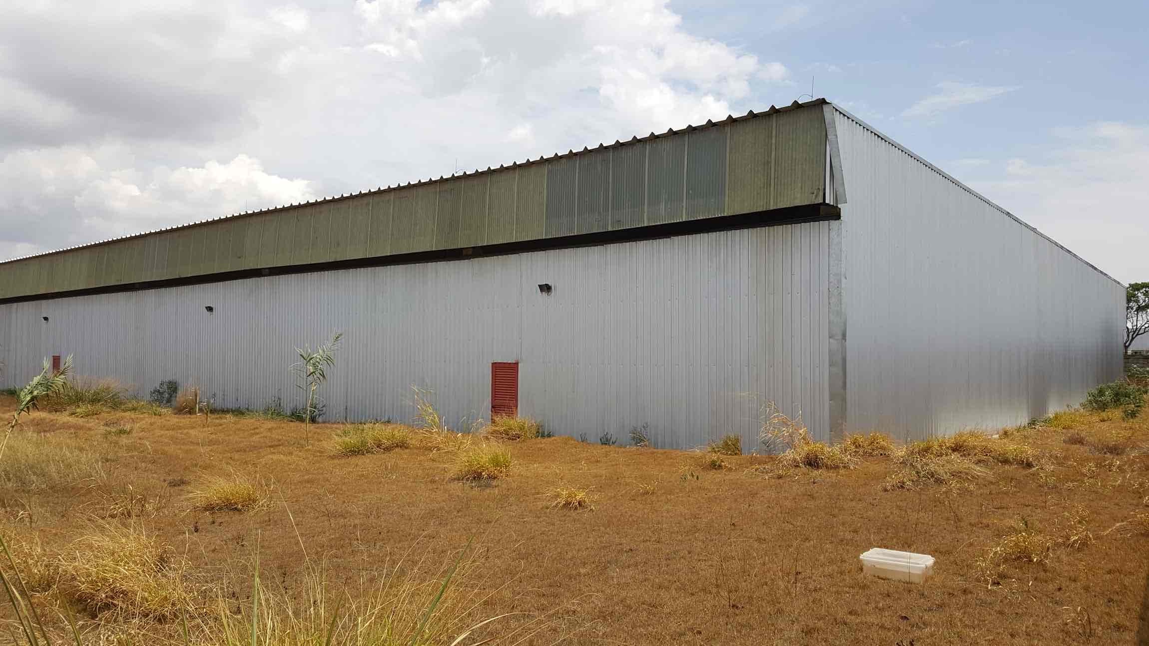 Depósito-Galpão-Armazém para alugar, 2800m² - Foto 14