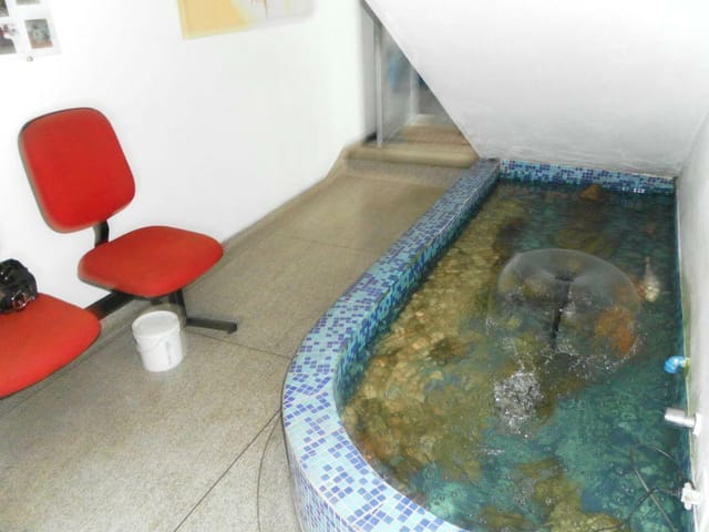 Foto do Galpão / Barracão - Galpão à venda, 400 m² por R$ 2.700.000,00 - Vila Formosa - São Paulo/SP | ZONA LESTE IMÓVEIS