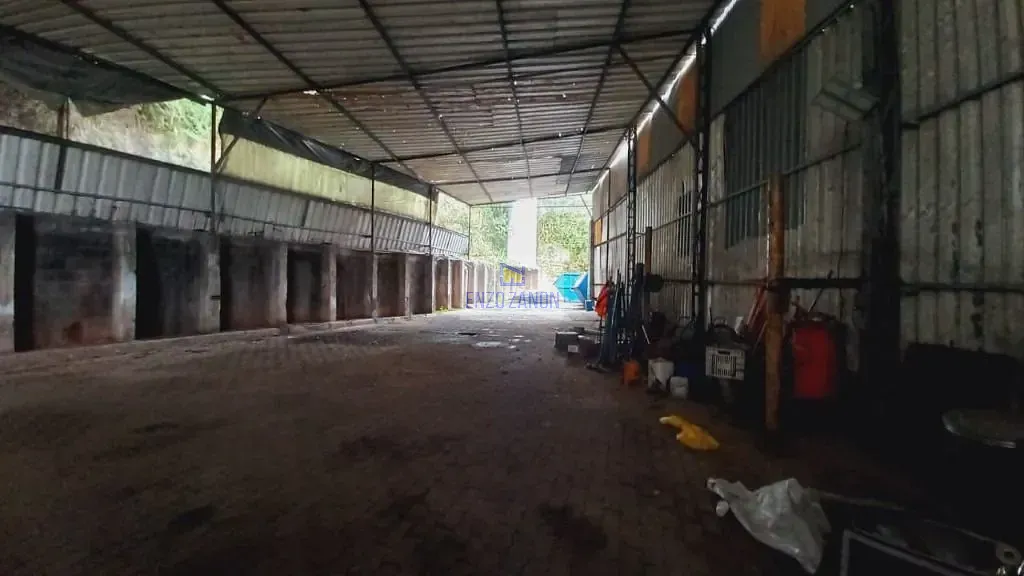 Depósito-Galpão, 2000 m² - Foto 11