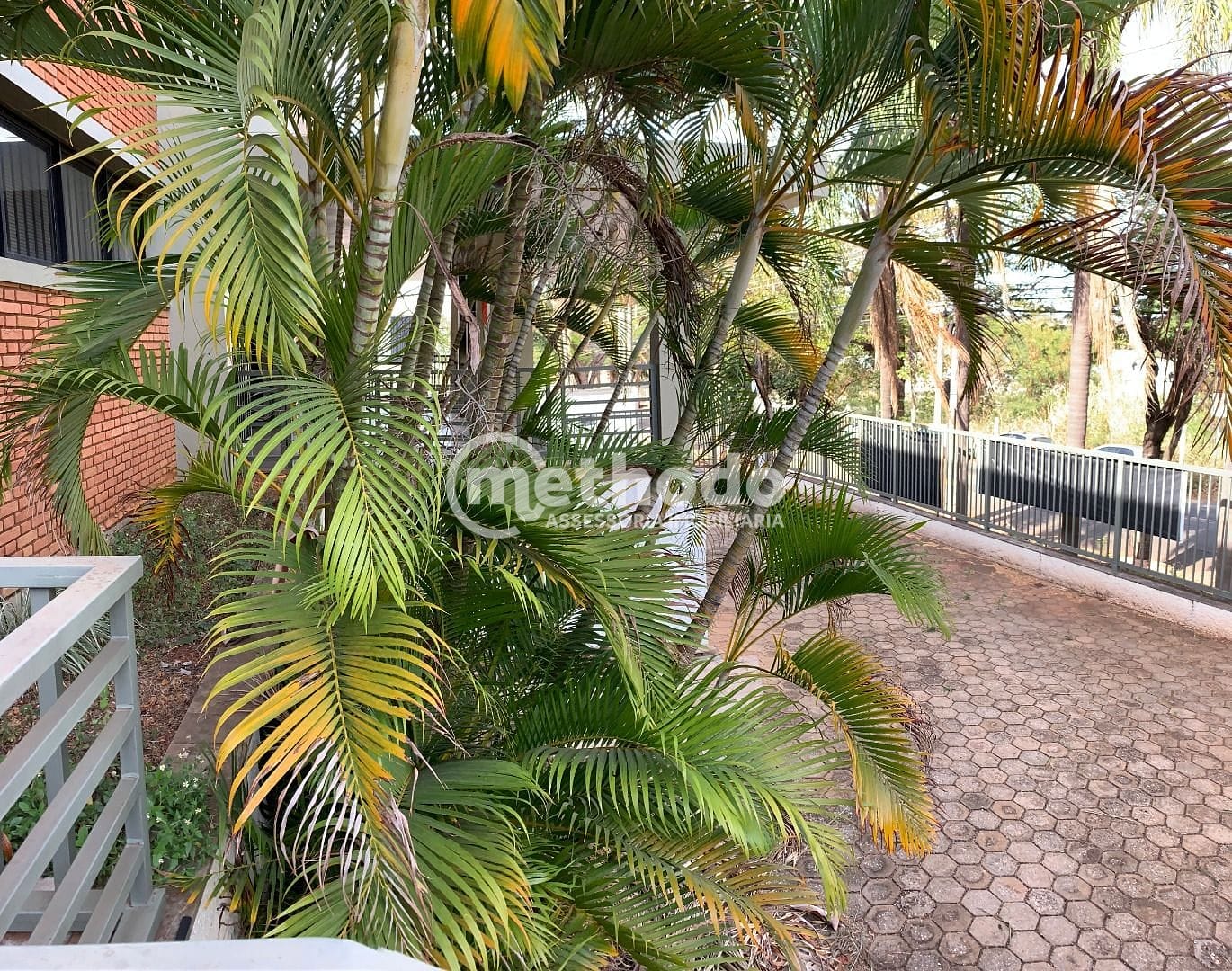 Depósito-Galpão, 2600 m² - Foto 4