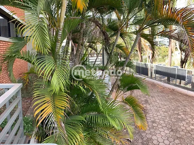 Galpão / Barracão com 3000m², para alugar, no bairro Jardim Santa Genebra em Campinas
