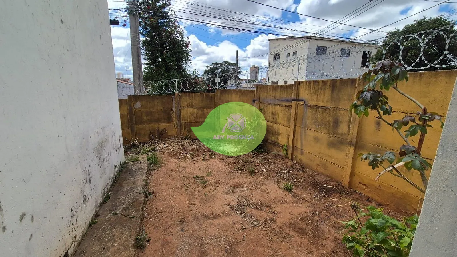 Foto 15
