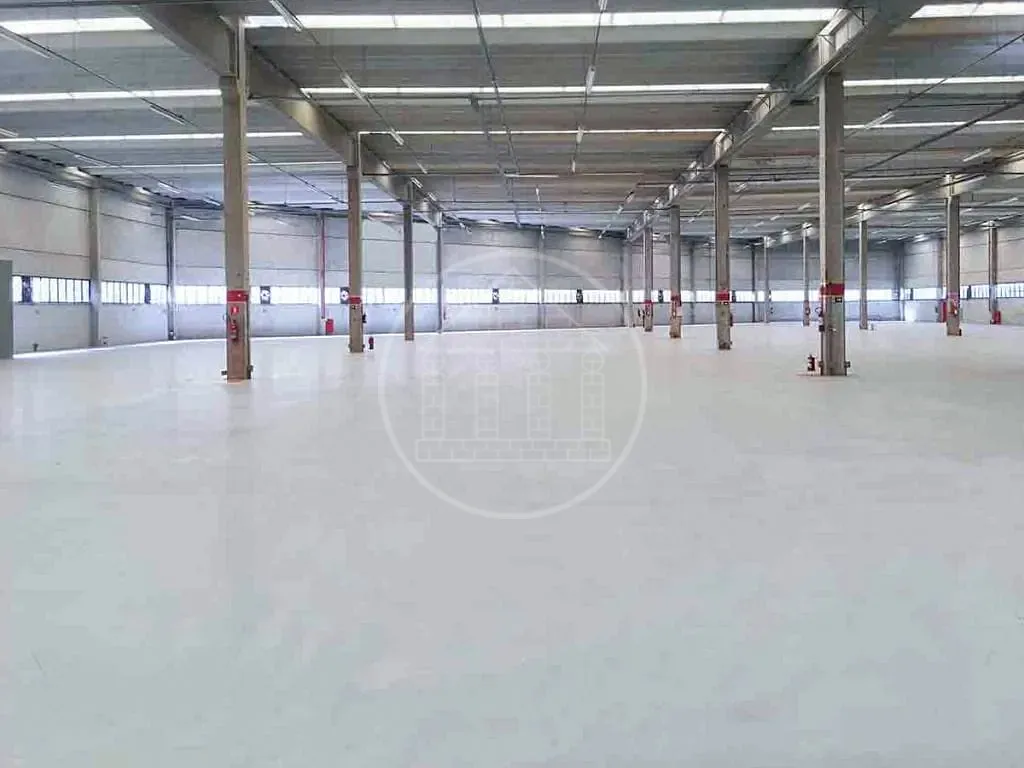 Depósito-Galpão, 6210 m² - Foto 19