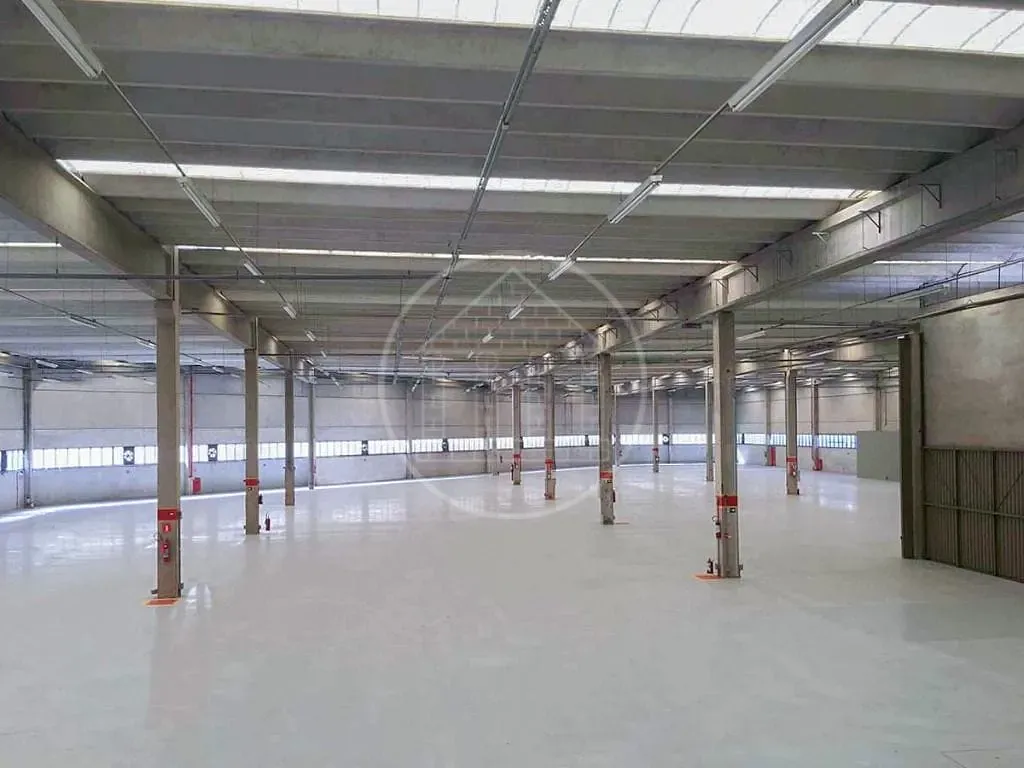 Depósito-Galpão, 6210 m² - Foto 24