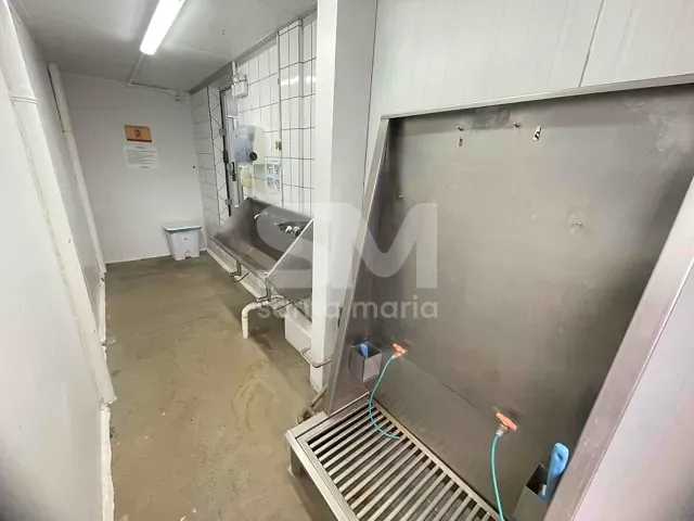 Galpão / Barracão com 5000m², para alugar, no bairro Interior em Chapecó