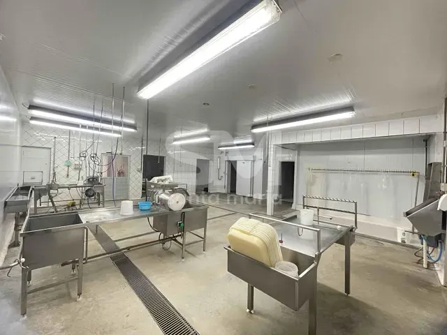Galpão / Barracão com 5000m², para alugar, no bairro Interior em Chapecó