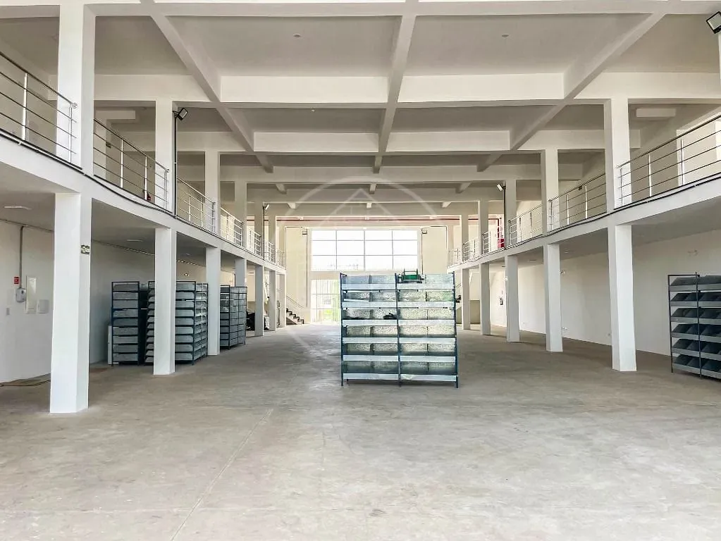 Depósito-Galpão, 3148 m² - Foto 4