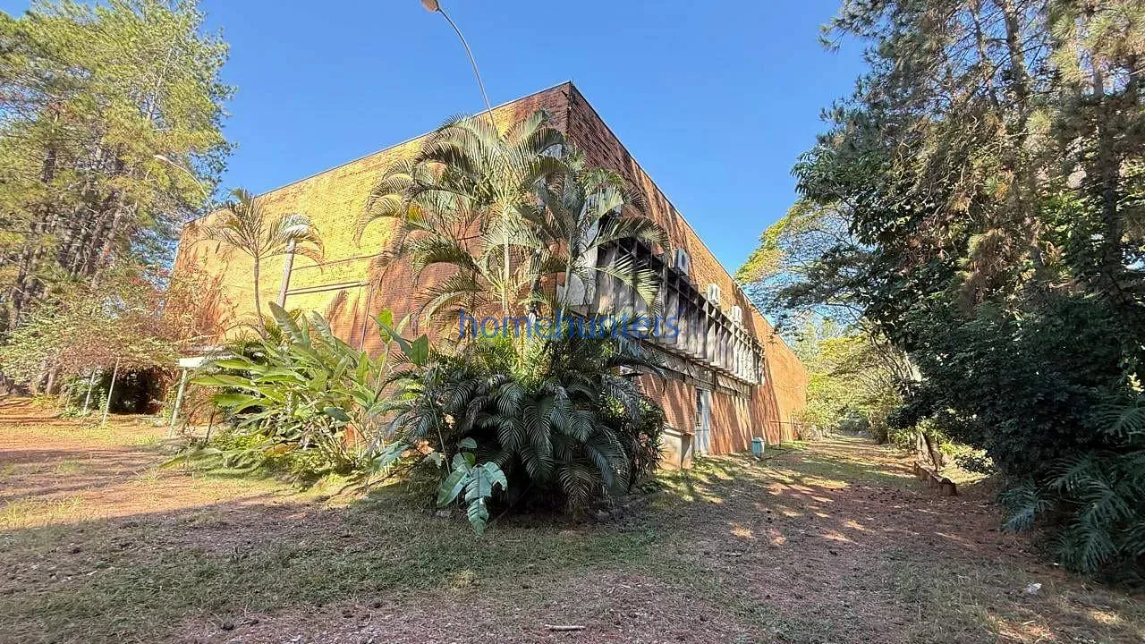 Depósito-Galpão, 2541 m² - Foto 5