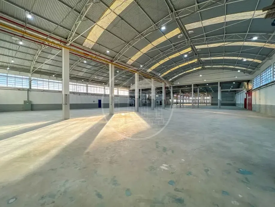 Depósito-Galpão, 7032 m² - Foto 11