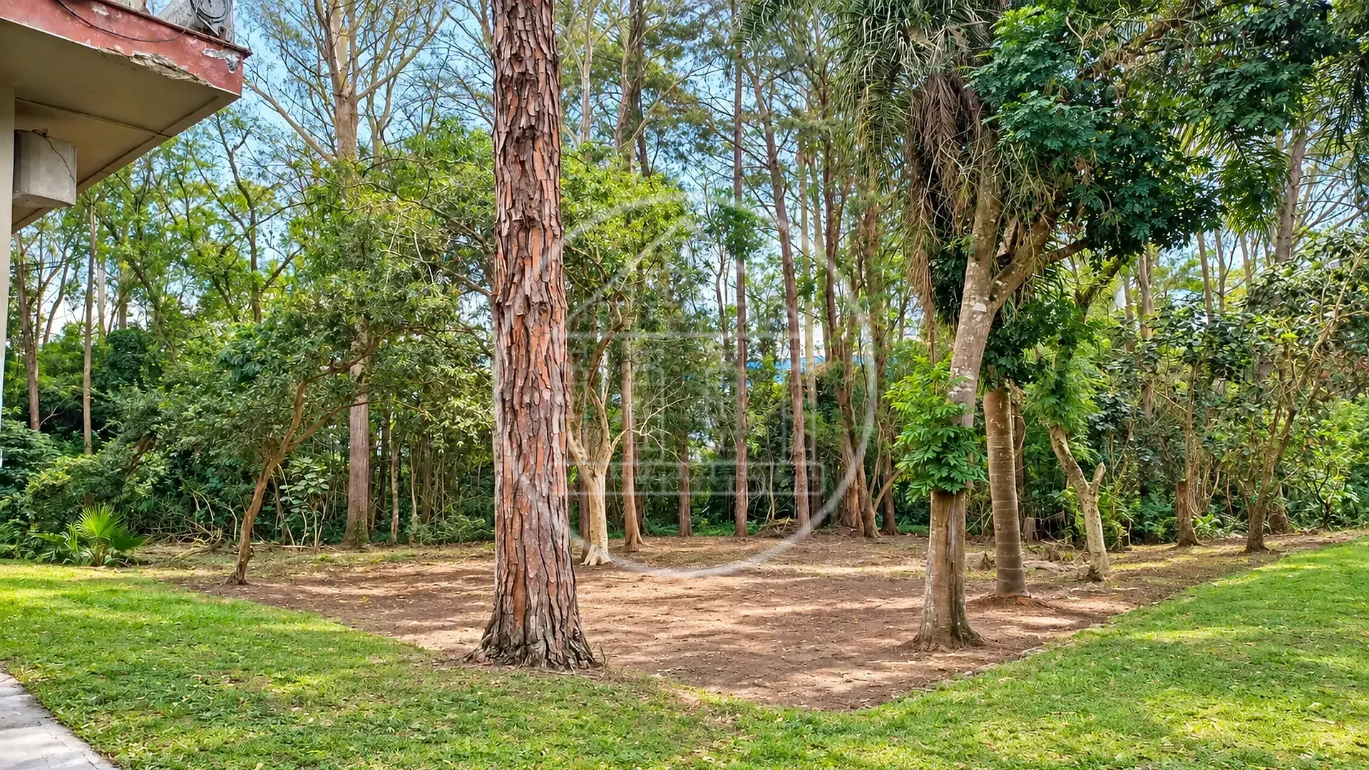 Depósito-Galpão, 1000 m² - Foto 9
