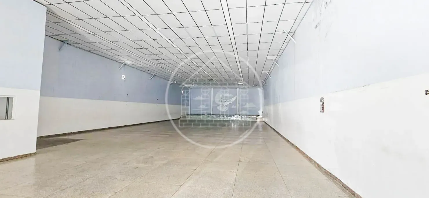 Depósito-Galpão, 586 m² - Foto 2