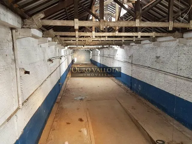 Galpão / Barracão com 1200m², para alugar, no bairro Parque da Mooca em São Paulo