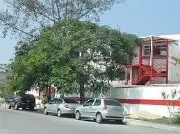 Casa, 1 quarto, 1823 m² - Foto 15