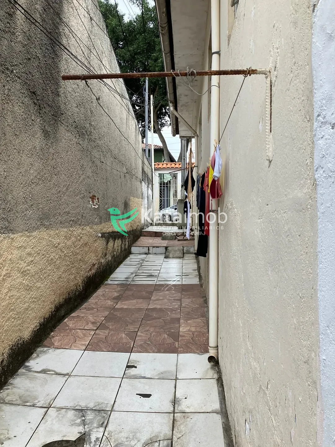 Casa, 4 quartos, 200 m² - Foto 6