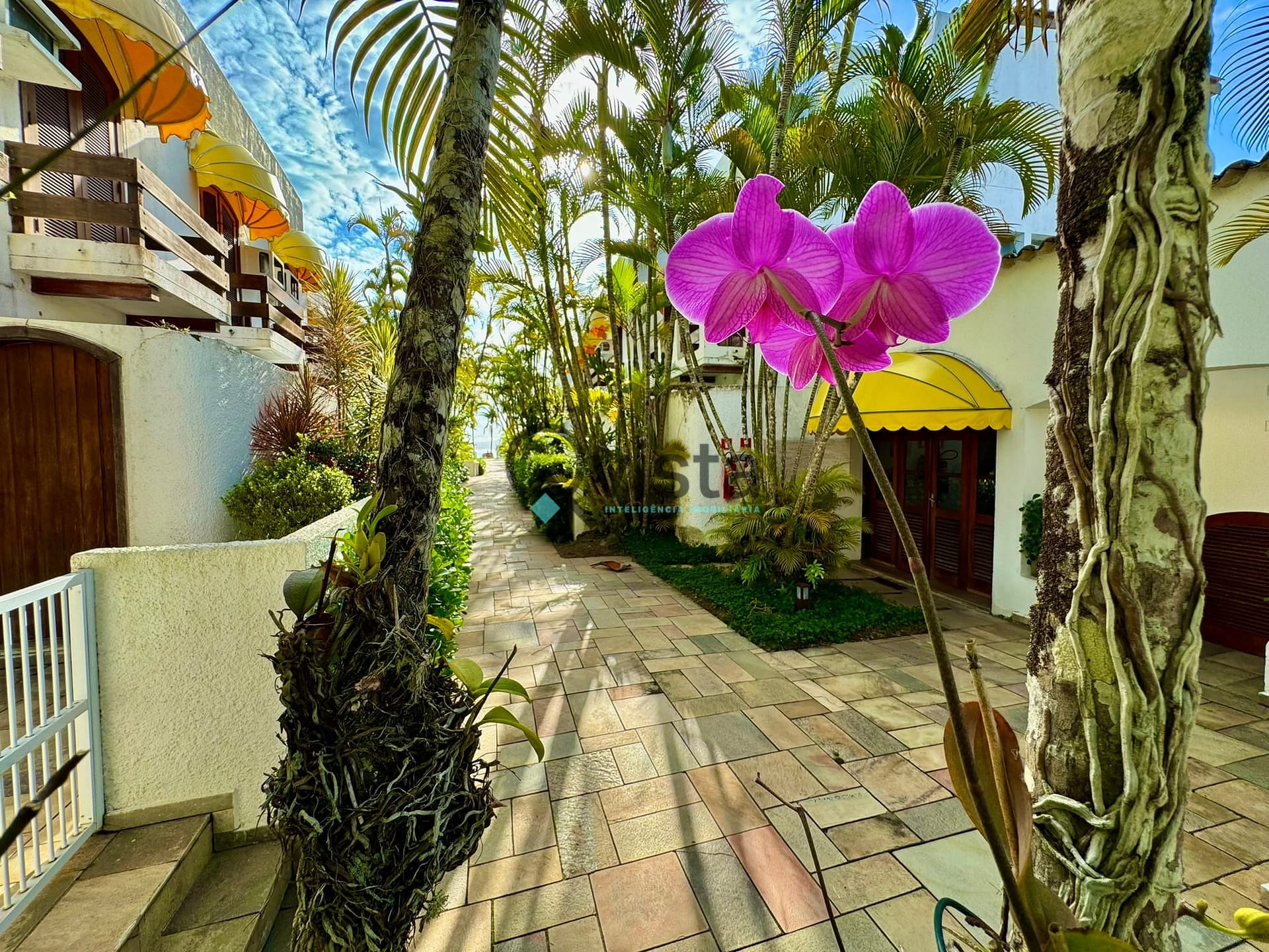 Casa, 3 quartos, 184 m² - Foto 62