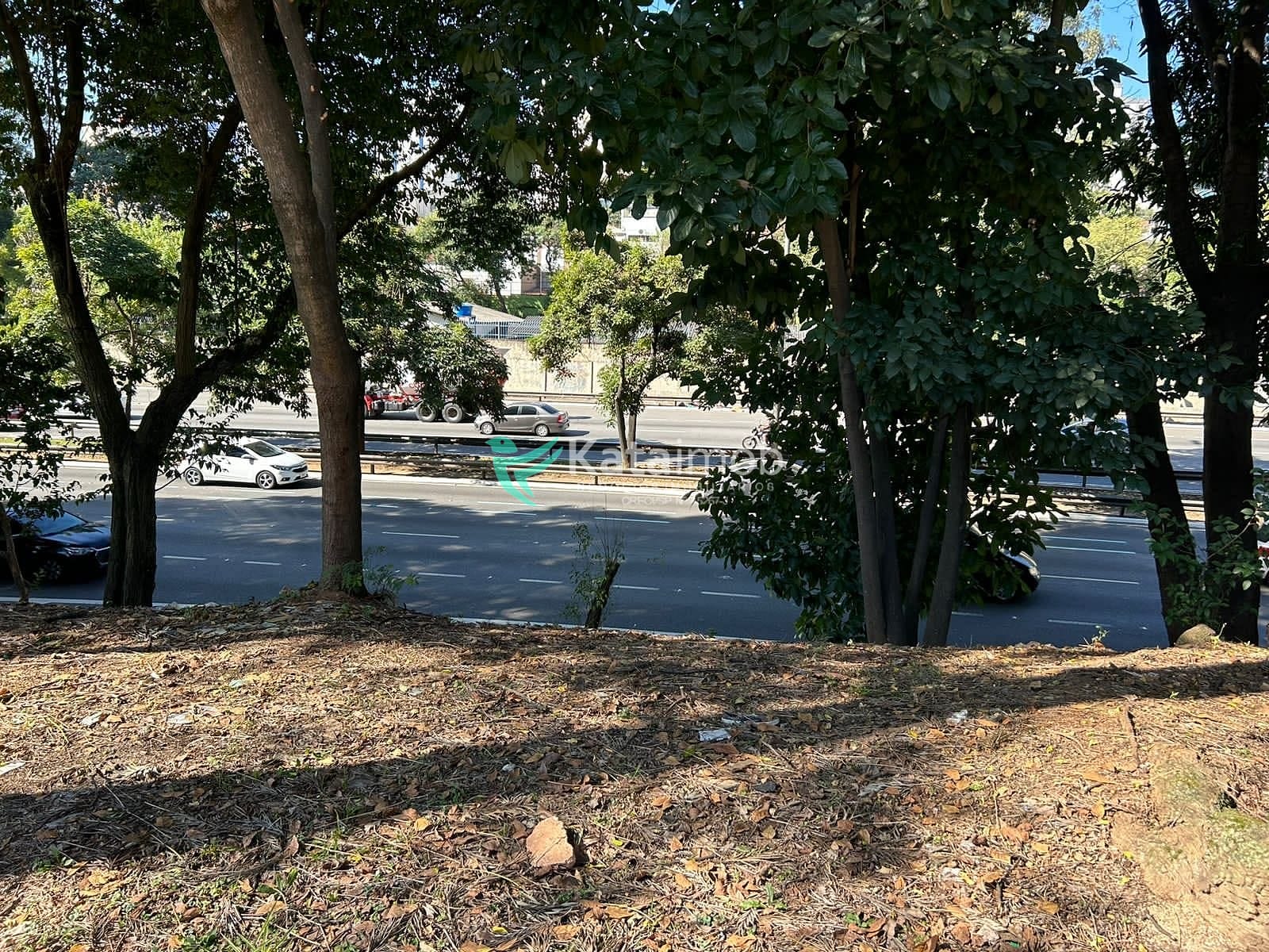 Casa à venda com 5 quartos, 240m² - Foto 7