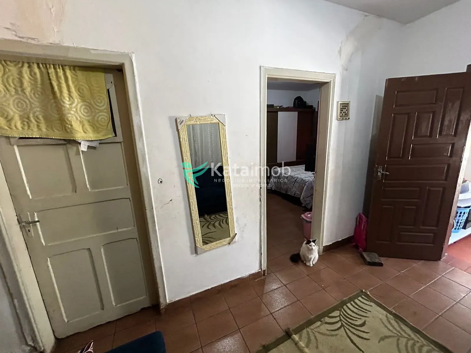Casa, 5 quartos, 240 m² - Foto 19