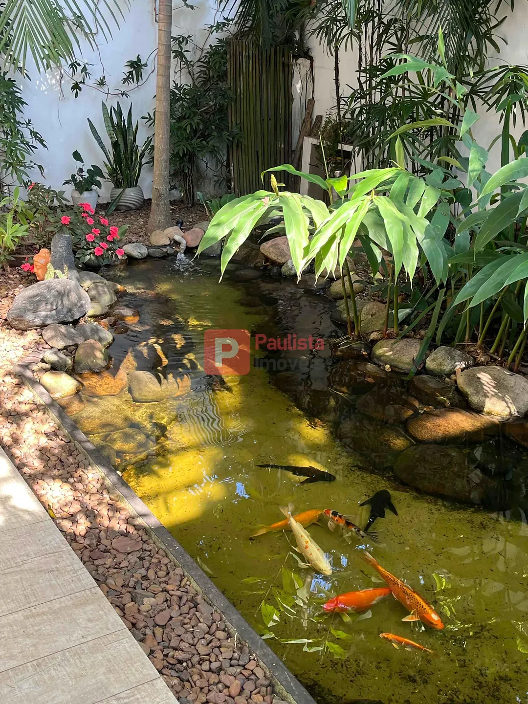 Foto 11