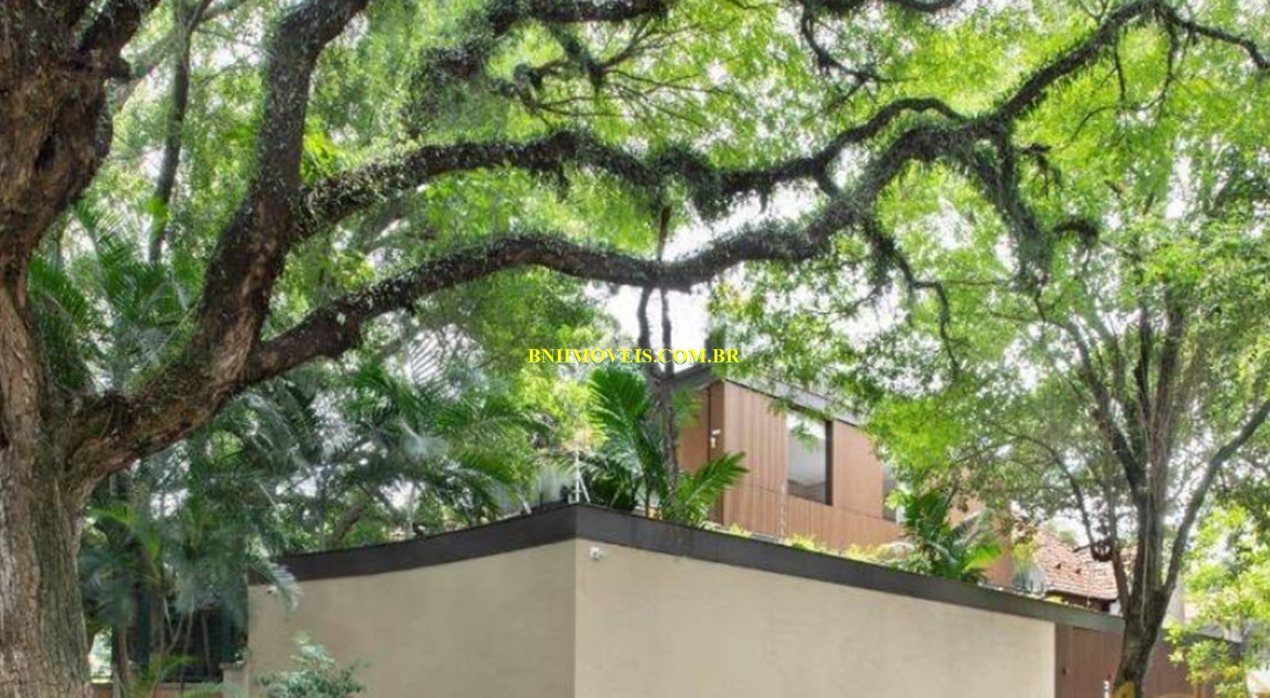 Casa, 4 quartos, 878 m² - Foto 1