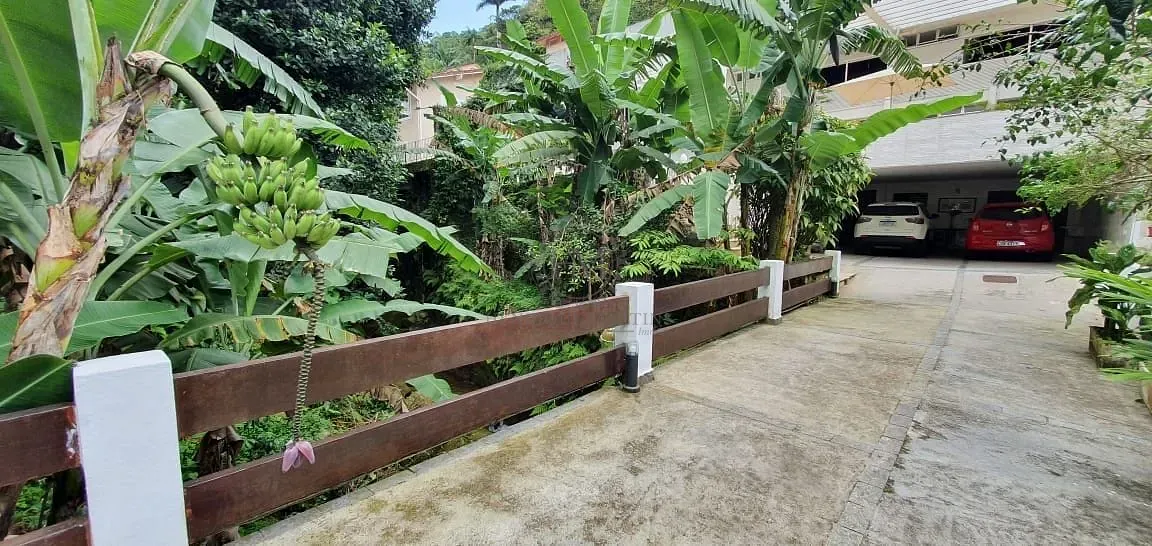 Casa, 4 quartos, 527 m² - Foto 10
