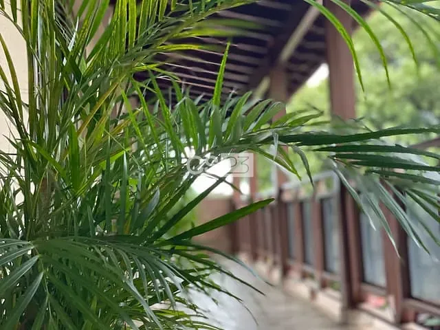 Casa 3 quartos e 3 banheiros, à venda, no bairro Chácaras Pietraróia em Londrina