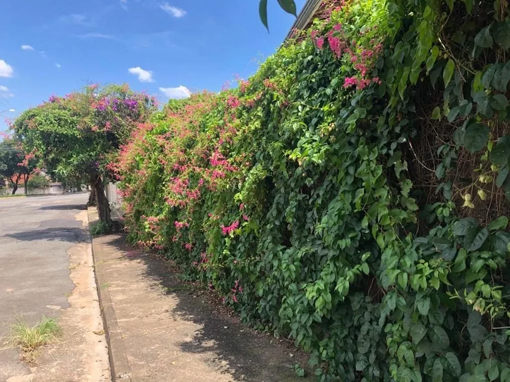 Casa, 2 quartos, 95 m² - Foto 5
