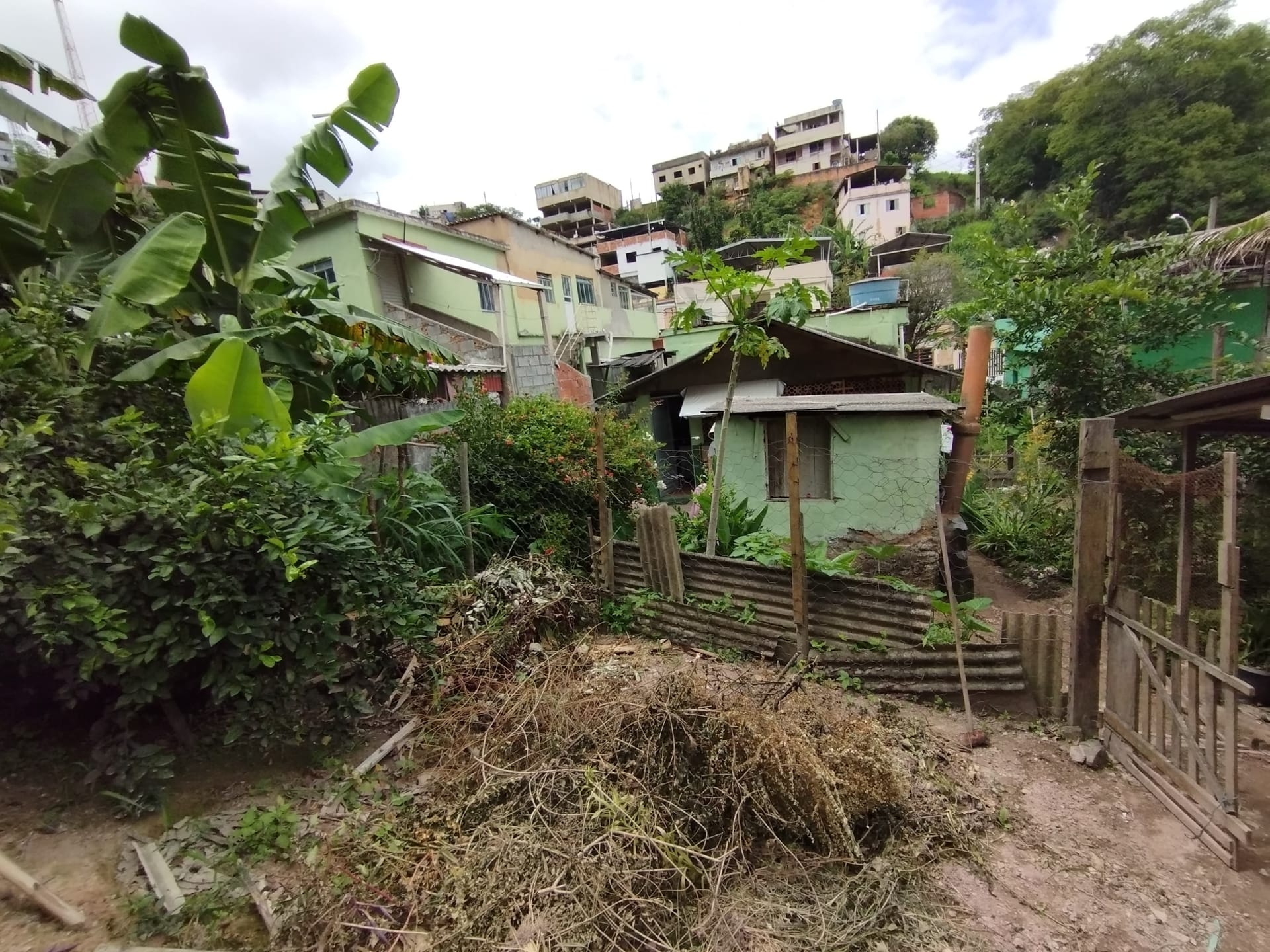 Casa à venda 2 Quartos, 1 Vaga, 30M², Rosário, RIO POMBA - MG - foto 18