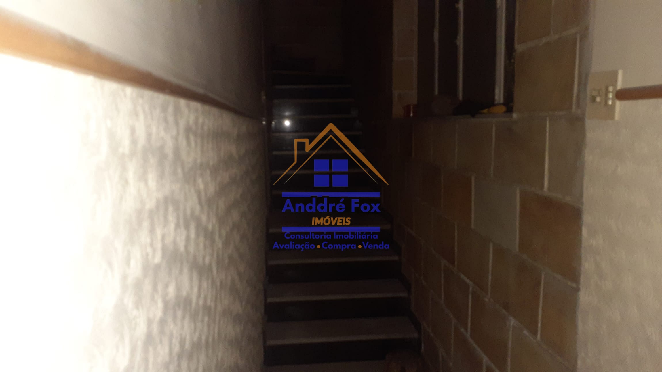 Casa, 7 quartos, 373 m² - Foto 3