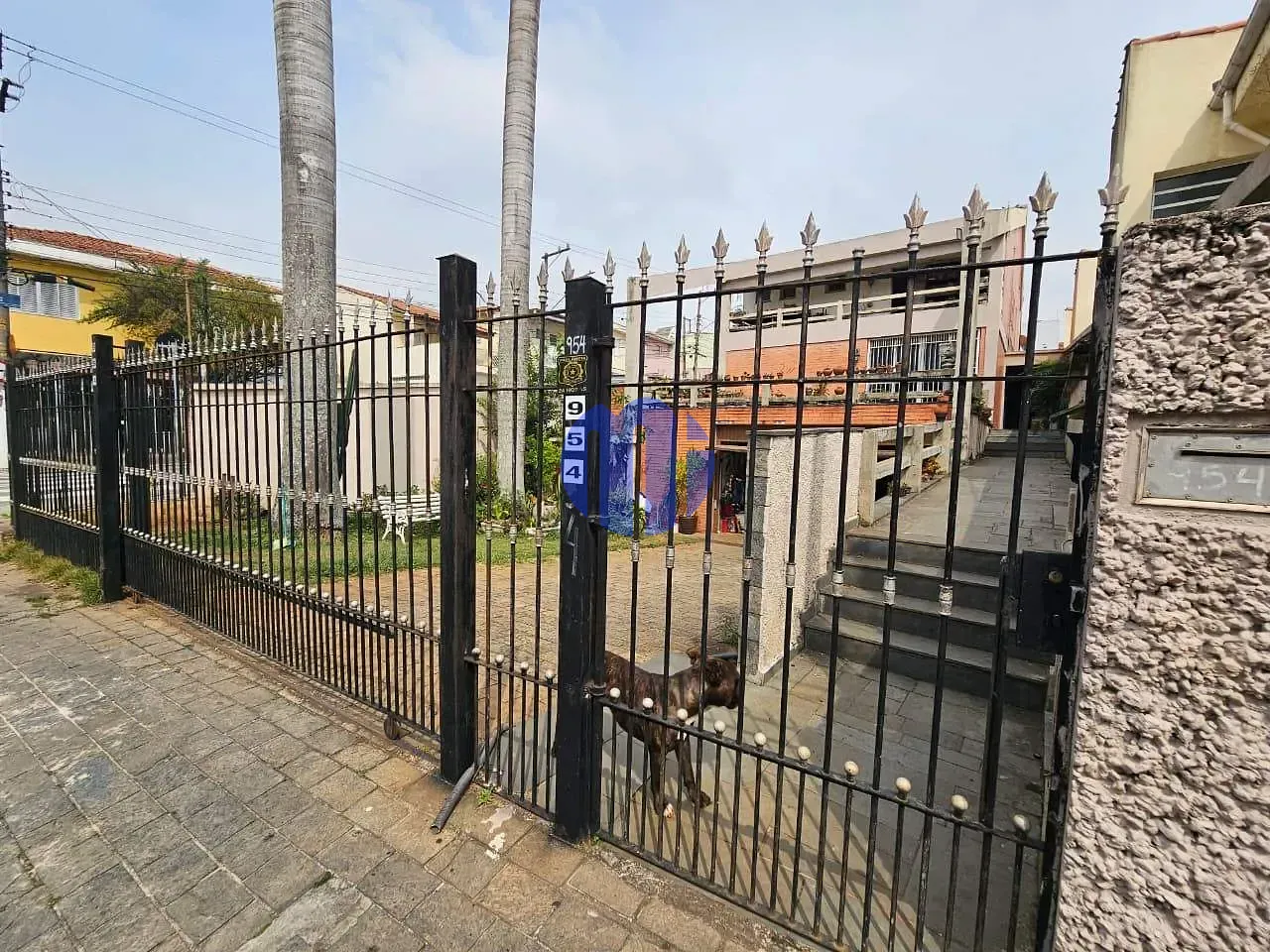 Casa, 6 quartos, 480 m² - Foto 9