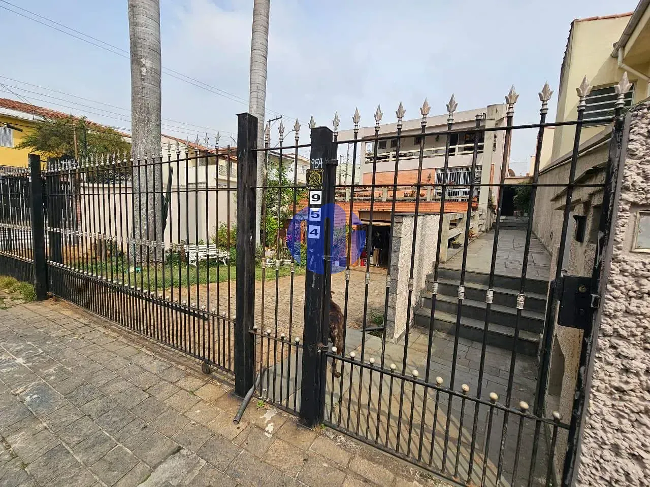 Casa, 6 quartos, 480 m² - Foto 6